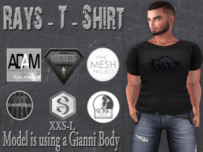 Rays - Men's Grey T-Shirt