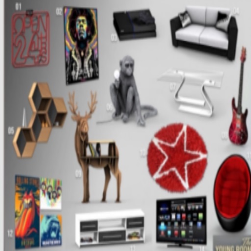 02 CODEX_HENDRIX CANVAS (DECOR)