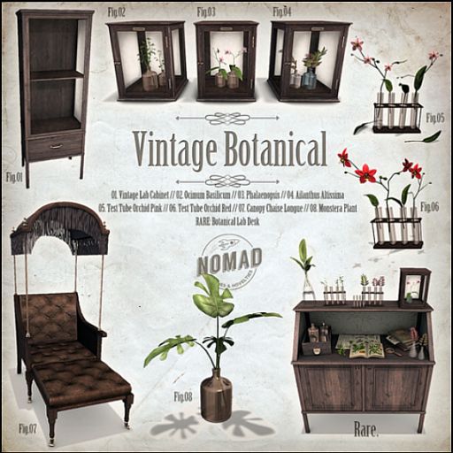 NOMAD // Vintage Botanical // RARE