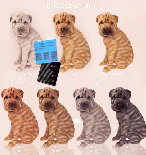 shar pei tan