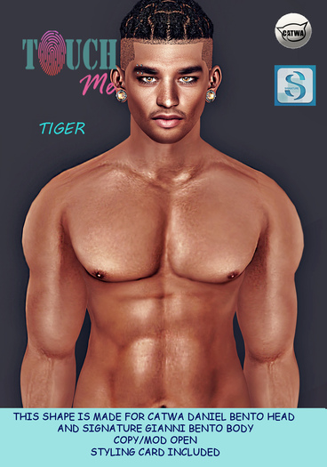 Touch'Me Daniel Tiger Shape