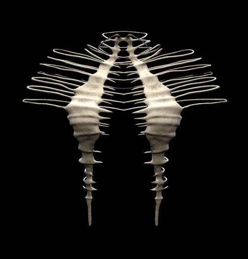 .:. MS .:. Boning Top - SALES BOX [UNPACKER]