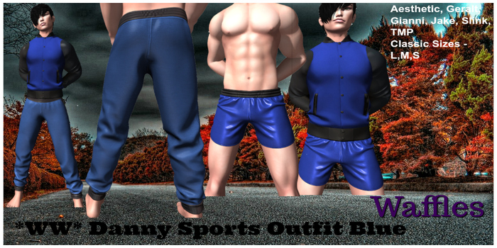 *WW* Danny Sports Outfit Blue