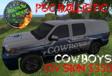 RP & RIDES  PSC cowboys ballistic skin delivery