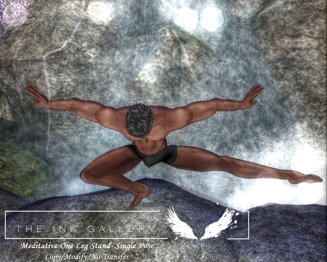 Ink Gallery Meditative One Leg Stand - Single Pose