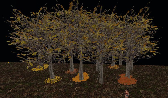 AA Country Autumn Falling leaf Forest w/rake