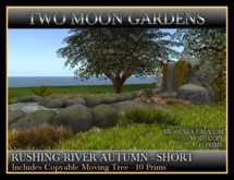 RUSHING RIVER - AUTUMN - SHORT VERSION. Landscape Garden stream with waterfall