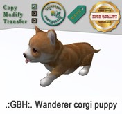.:GBH:. Wanderer corgi puppy