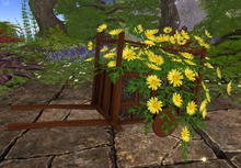 Yellow Daisy Cart