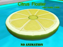 Citrus Floater mesh1