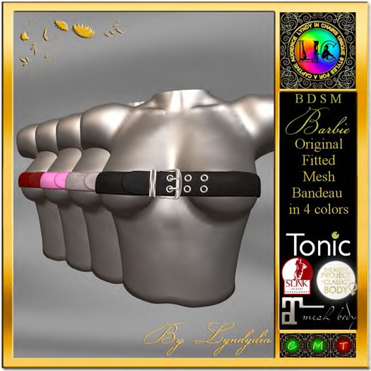 Bandeau BuckleTop DEMO