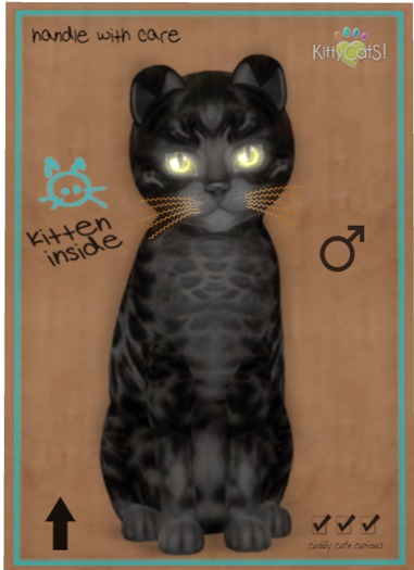 KittyCatS Box - Bengal - Black