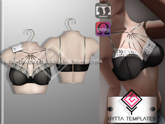 ::: [T.E.M.] ::: FULL PERM 2015 Dec#3