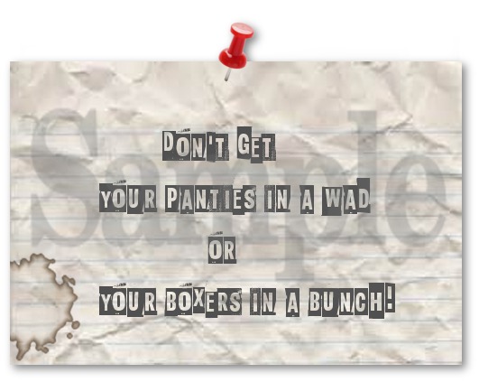 POSTER - Panties or Boxers!