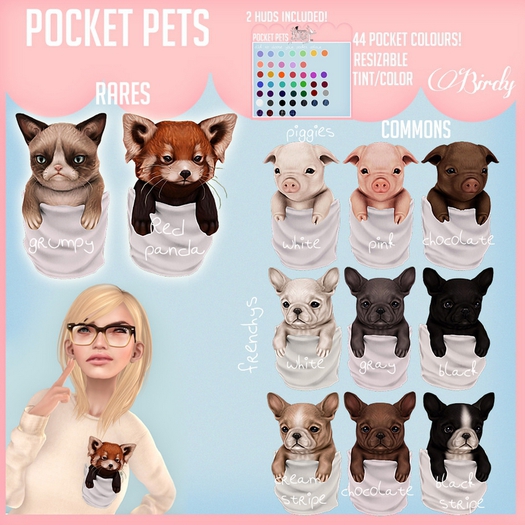 .Birdy. Pocket pet {Red Panda} RARE