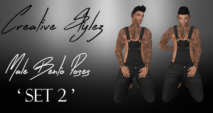 Creative Stylez - Male Bento Poses -Set2- 2 Static Poses