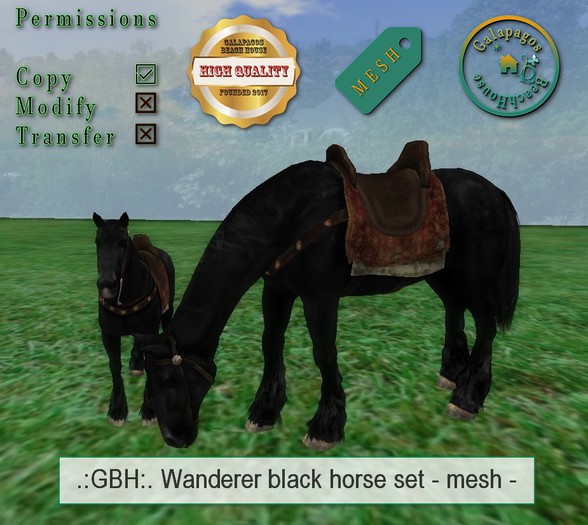 .:GBH:. Wanderer black horse set -mesh-
