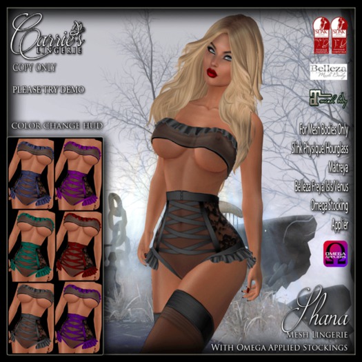 CB~SHANA LINGERIE (BOX)