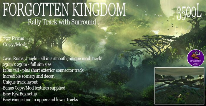 Forgotten Kingdom Rally Track