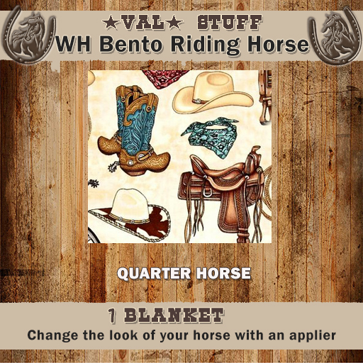 >VAL< WH [Quarter]  Cowboy Blanket