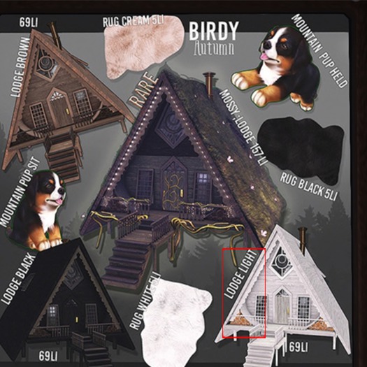 Birdy - Little Lodge - Light