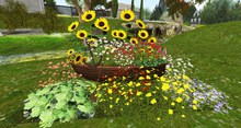 CJ Colors of Life Garden Boat Summer 