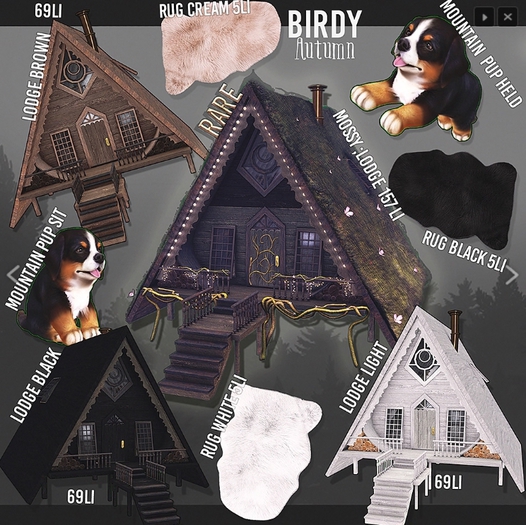 Birdy - Autumn - Mountain pup Sat