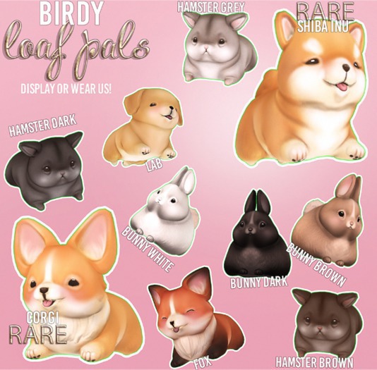 Birdy - Loafs - Shiba inu RARE