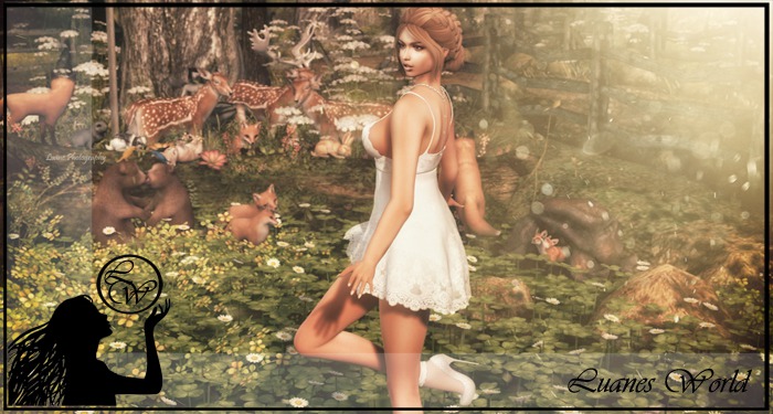 :LW: BENTO Poses - Once Upon A Time