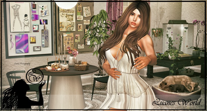 :LW: BENTO Poses - Not Too Late