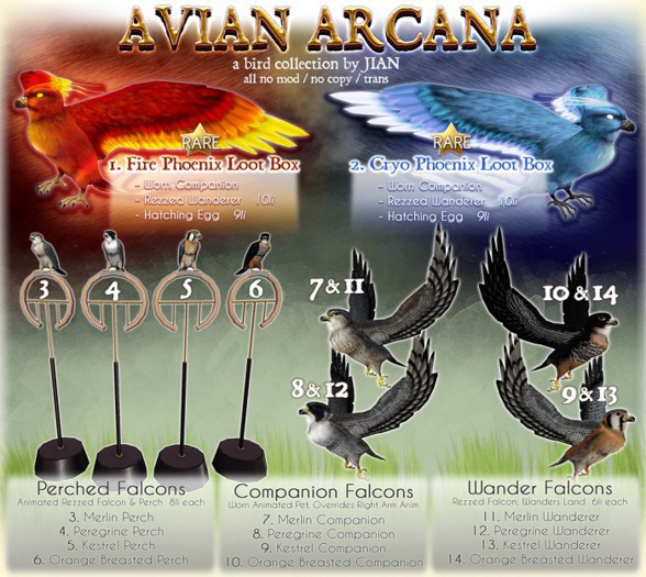 JIAN Avian Arcana 5. Kestrel Falcon Perch BOX