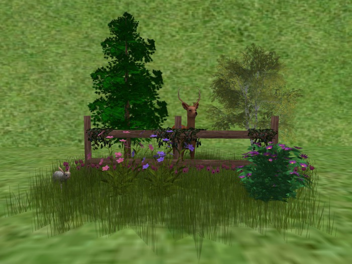 CC - Forest Scene 6
