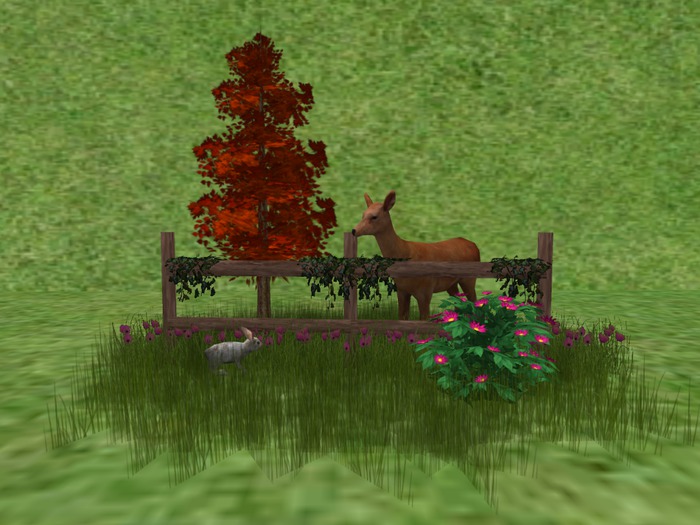 CC - Forest Scene 4