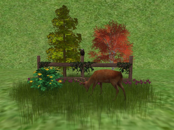 CC - Forest Scene 3