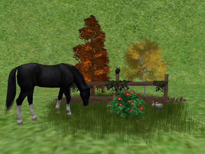 CC - Forest Scene 1