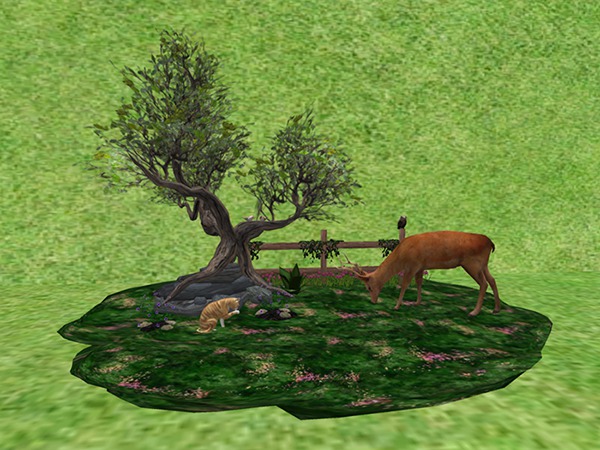 CC - Large Forest Scene 1