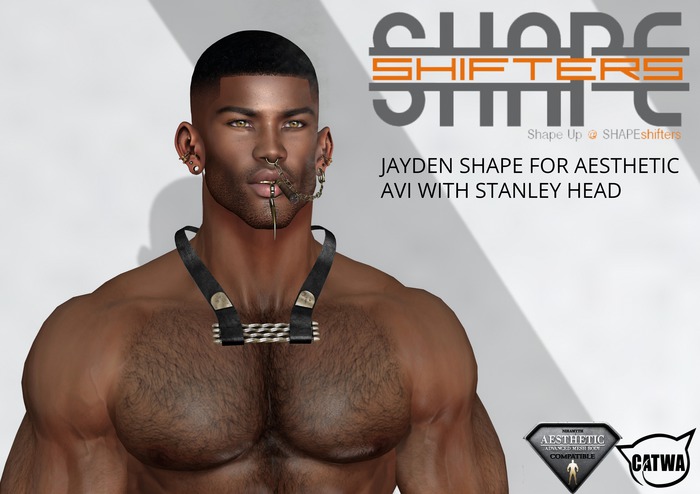 Second Life Marketplace - [SHAPEshifters] JAYDEN & DAVID SHAPE FOR ...