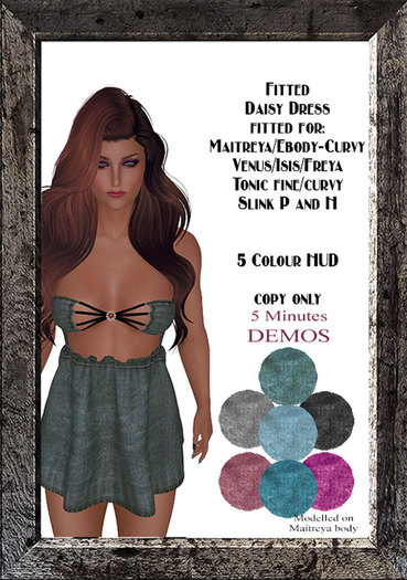 Fitted Daisy Dress  DEMOS