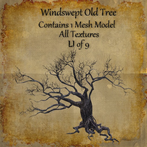 Bad Katz Windswept Old Tree