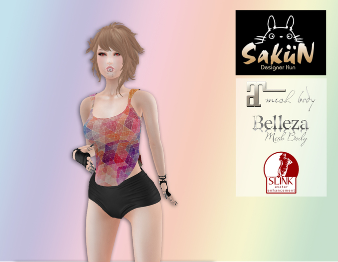 [SnK] Geometry Simple Tank