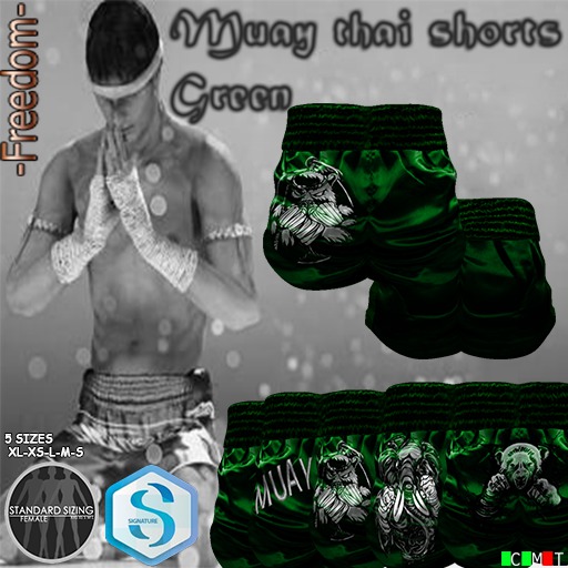 -Freedom-Shorts Muay Green