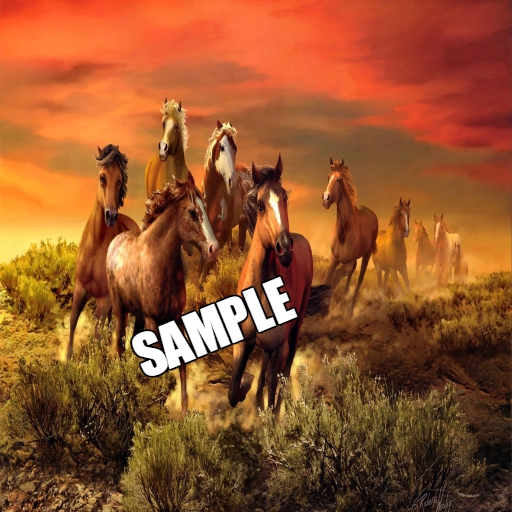 Wild Horses HD