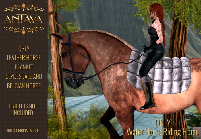 :: ANTAYA :: WHRH Grey leather horse blanket \ Drafts (wear)