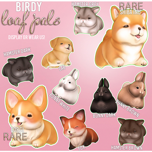 Birdy - Loafs - Lab