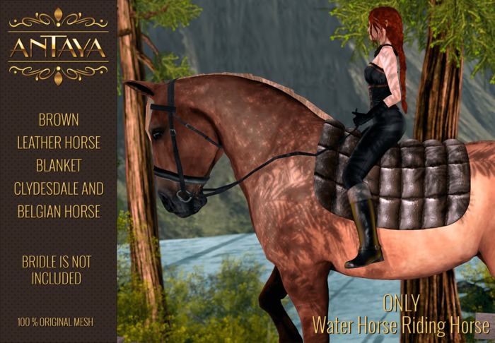 :: ANTAYA :: WHRH Brown leather horse blanket \ Drafts (wear)