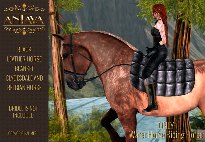 :: ANTAYA :: WHRH Black leather horse blanket \ Drafts (wear)