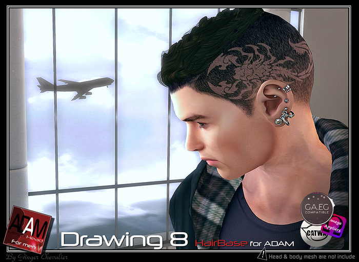 Adam-Hairbase drawing 8
