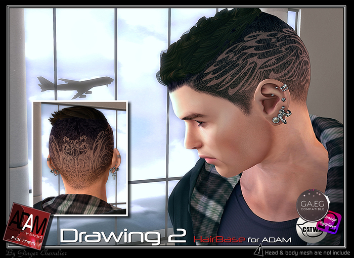 Adam-Hairbase drawing 2