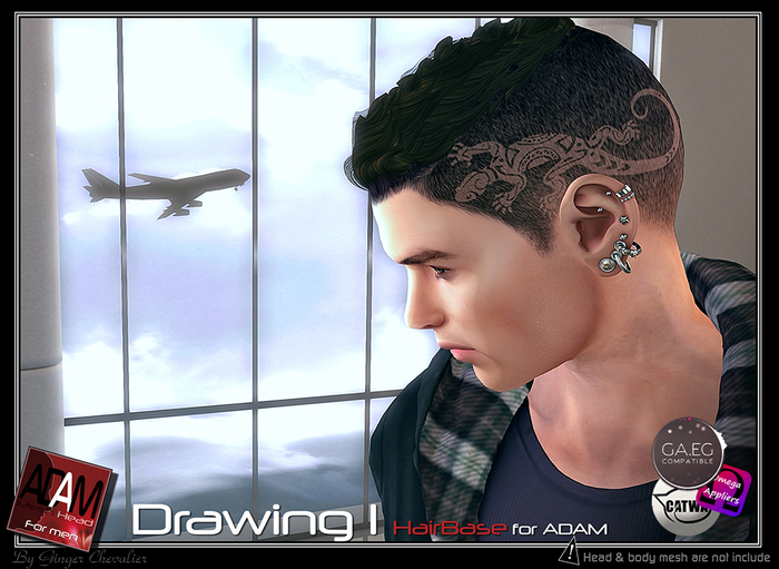 Adam-Hairbase drawing 1