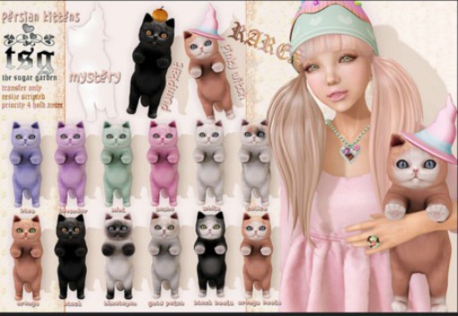 .tsg. Persian Kitten - Pinky Witch RARE